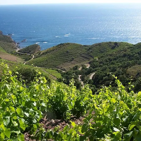 Entre Et Montagne A Banyuls-sur-Mer