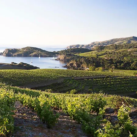 Entre Et Montagne A Lejlighed Banyuls-sur-Mer