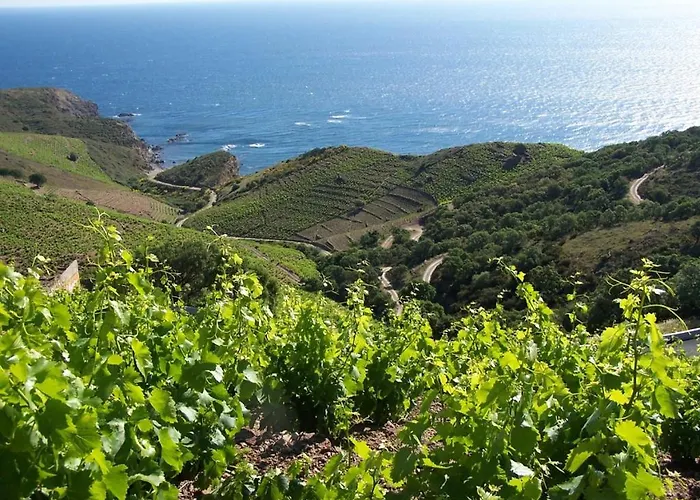 Entre Et Montagne A Banyuls-sur-Mer