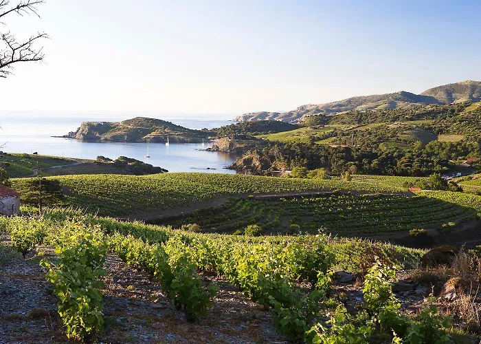 Entre Et Montagne A Διαμέρισμα Banyuls-sur-Mer
